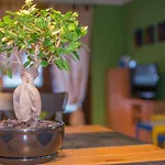 Helena Apartamento Kranjska Gora